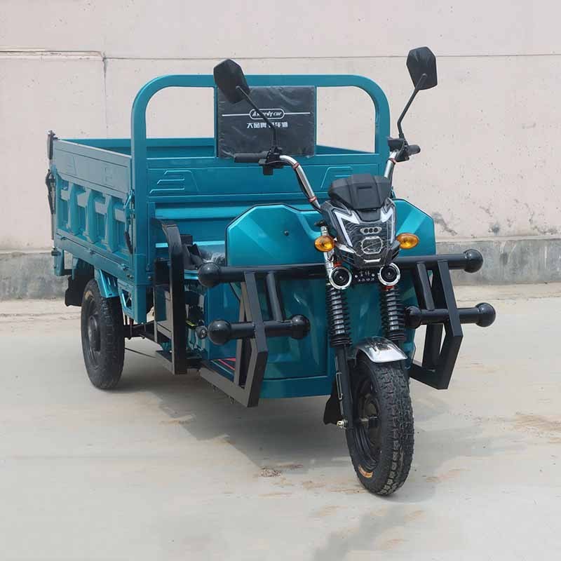 new type 800w/1000w adult farm customized design electric cargo bike tricycle chinese tricycle for cargo