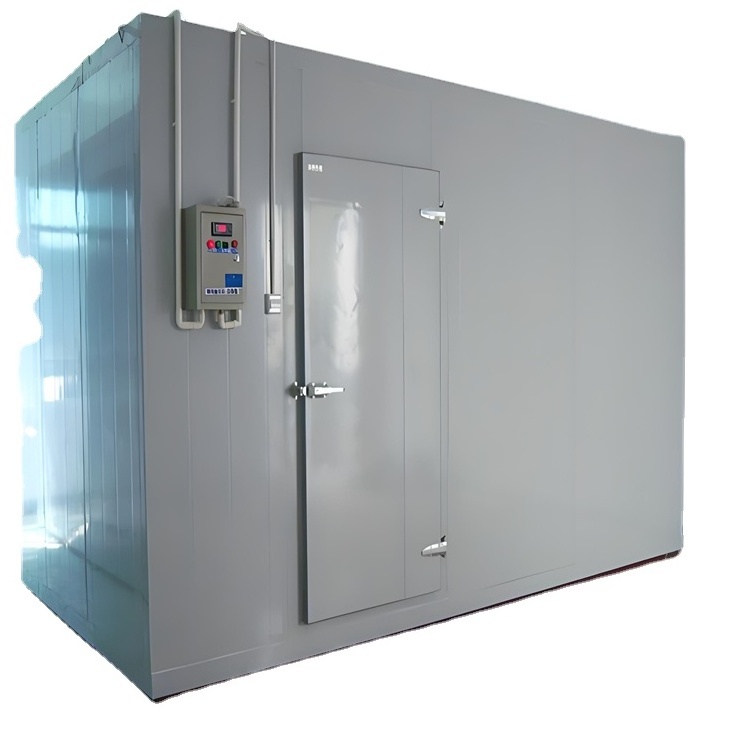 Modern Efficient Cold Storage System for Meat Vegetables DAIKIN Compressor for Retail Farms Cold Room for Refrigerated Business