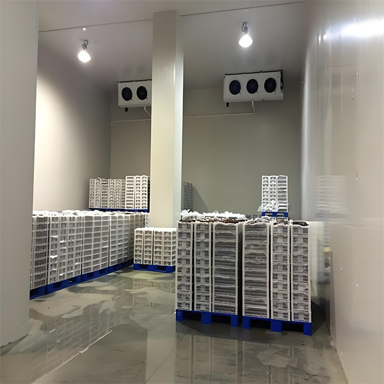 Modern Efficient Cold Storage System for Meat Vegetables DAIKIN Compressor for Retail Farms Cold Room for Refrigerated Business