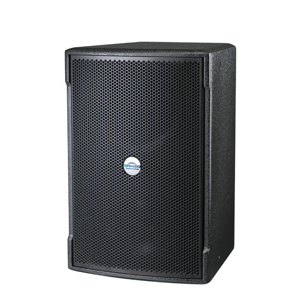 Dragonstage Chinese DJ equipment 12 inch passive professional speaker system live speaker system