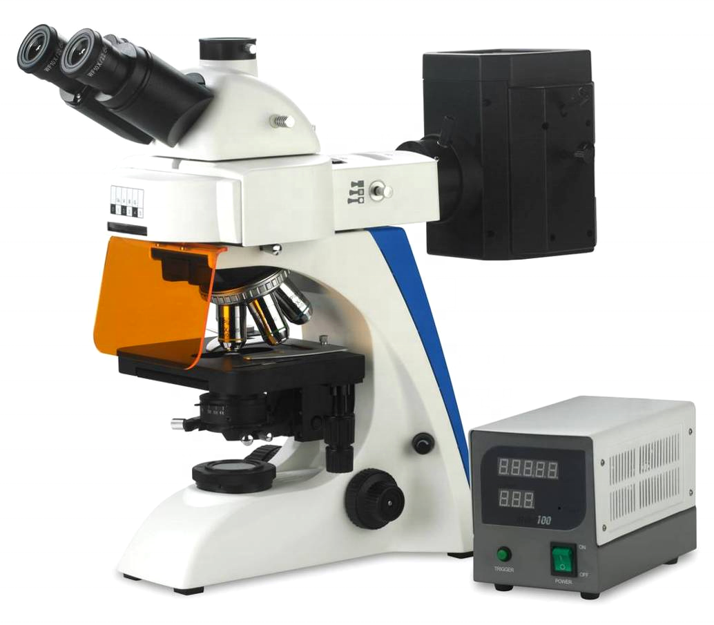 Good Price Digital Scanning Electron Educational Digital Microscope