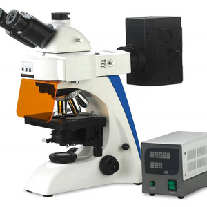 Good Price Digital Scanning Electron Educational Digital Microscope