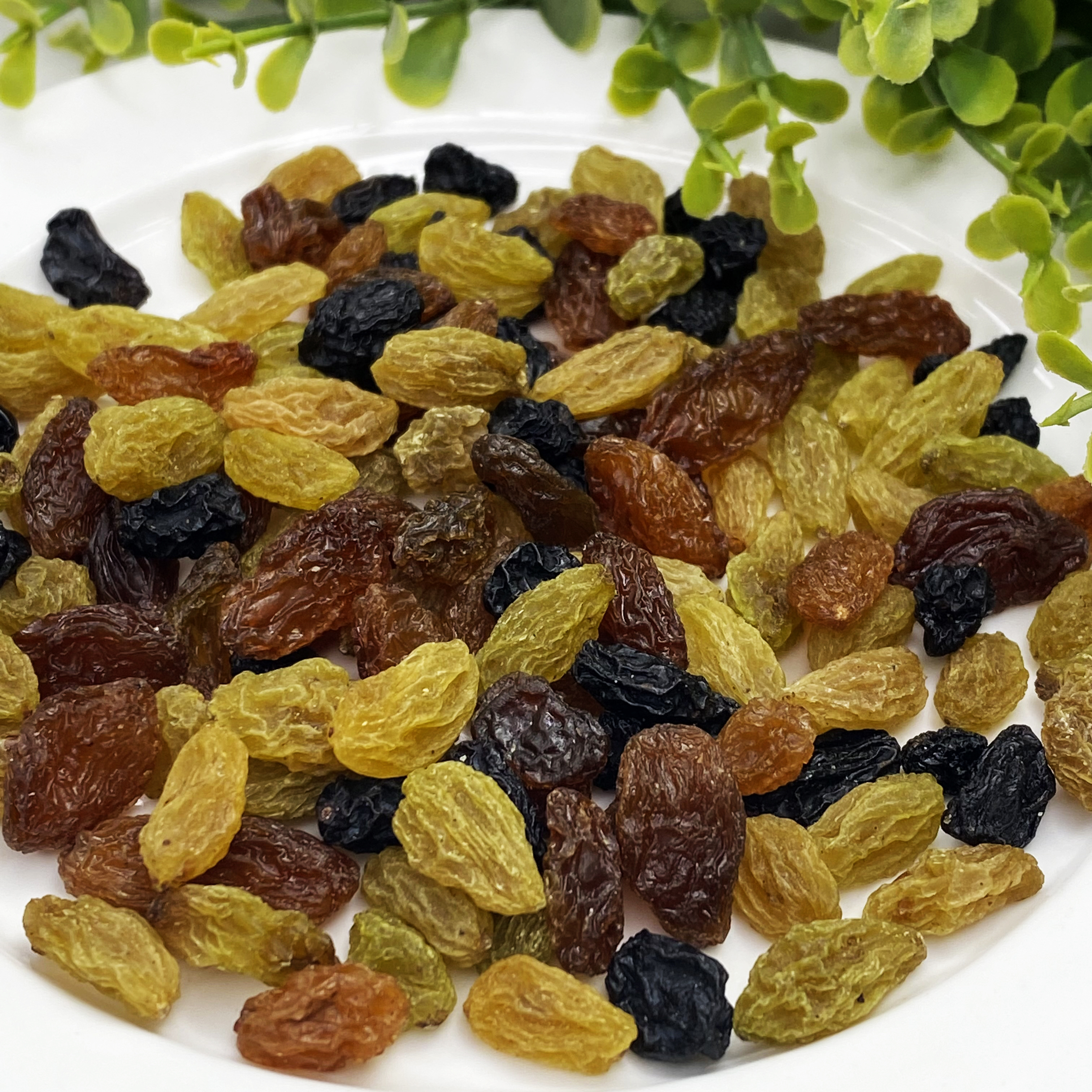 Wholesale Raisin products sultana Raisin Tricolor Mixed Dried Raisins Snack