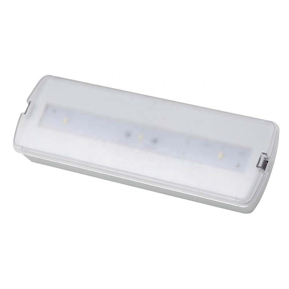 Easy Installation Battery Backup Led Emergency Light with Telecommand Function