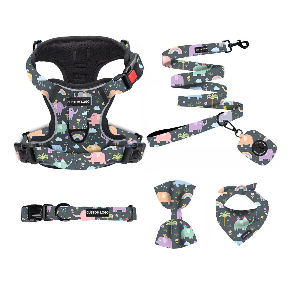 Pet supplies manufacturers custom colorful luxury printing designer dog harness