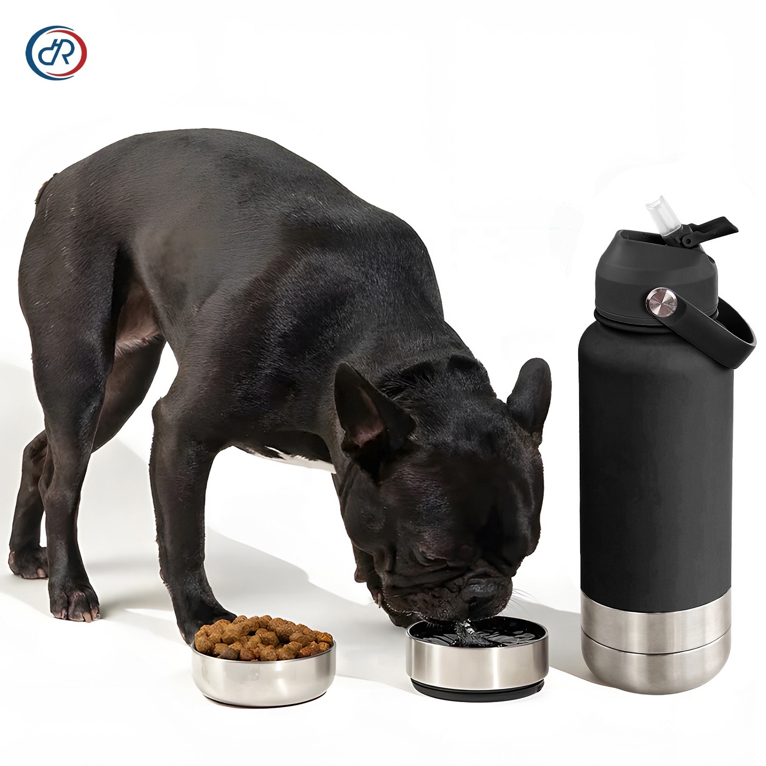 OKKPETS In Stock Free Sample Portable Water Bottle Pet Feeder Travel Bowl Dog Water Bottle Portable Pet Travel Stainless Ste