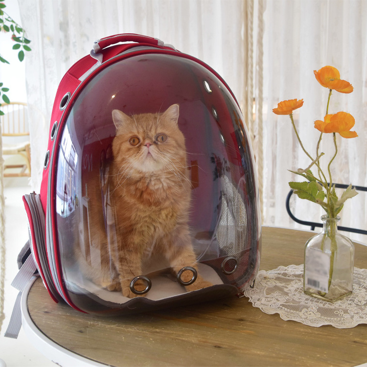 Daruhui capsule breathable transparent transport astronaut cat travelling carrying simons cat bag pet backpack