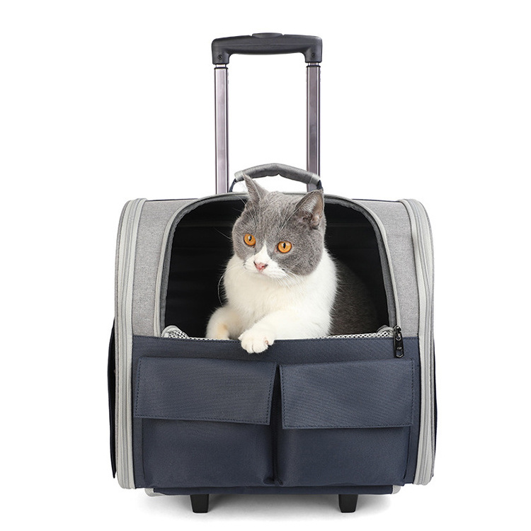 Amazon hot sale cat dog Collapsible pet carrier backpack bag carrier pet trolley