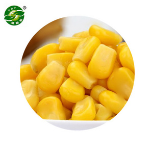 Hot Sale Approved IQF Frozen Sweet Corn Kernels Cob Whole with Good Price and  IQF Frozen corn