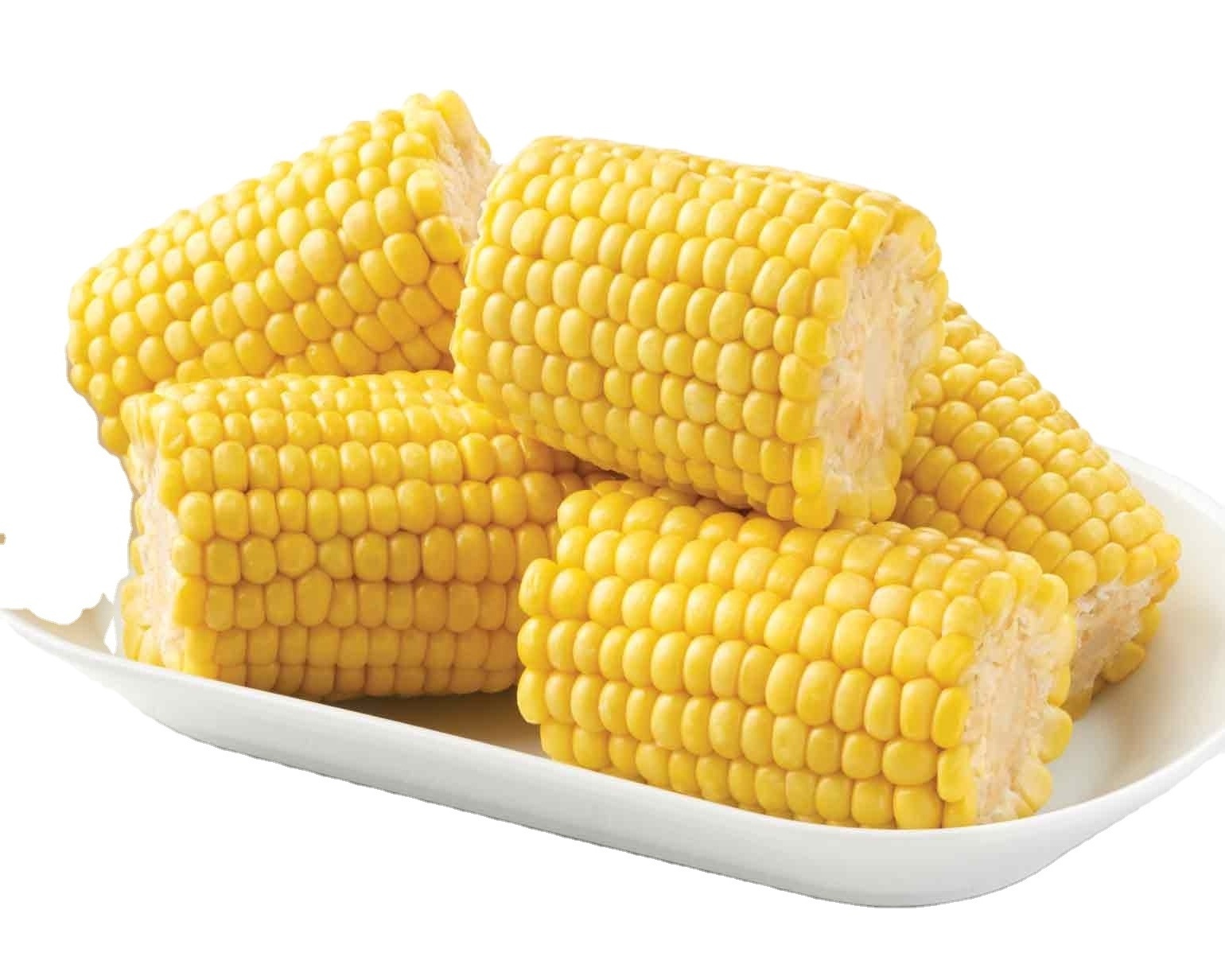 Fresh Product supply new harvest HALAL certified IQF frozen sweet corn