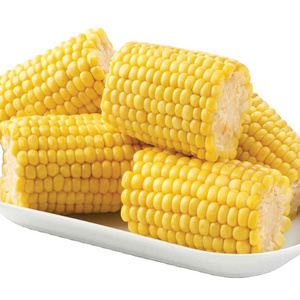 Fresh Product supply new harvest HALAL certified IQF frozen sweet corn