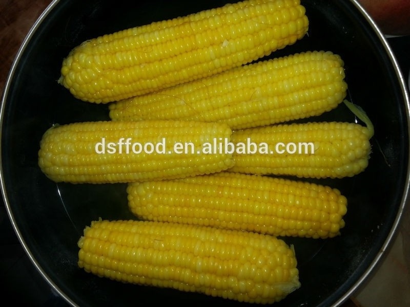 New Season IQF Frozen Grain Yellow Sweet Corn Cob Wholesale Frozen Sweet Corn