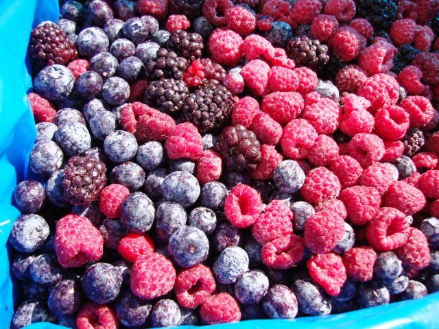 IQF Frozen Fruit Blackberry Blueberry Raspberry Strawberry  IQF Frozen Mixed Berries