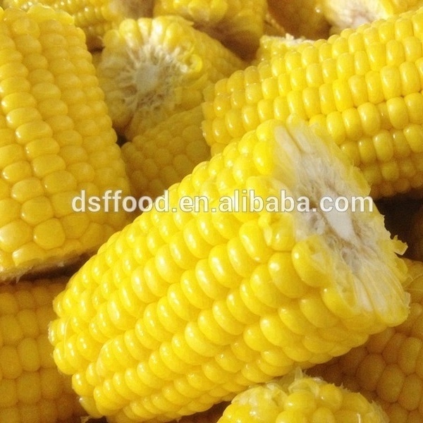 Fresh Product supply new harvest HALAL certified IQF frozen sweet corn