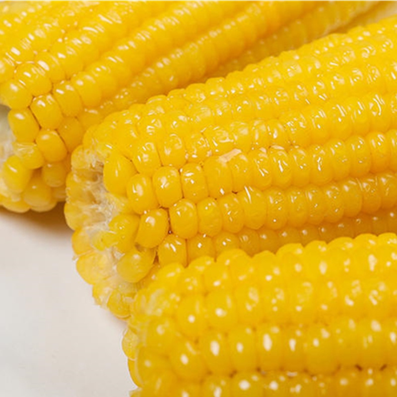 Bulk Frozen Corn Cob with best price IQF Sweet Corn Cob