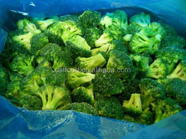 IQF Frozen Vegetable Frozen Broccoli Floret IQF Frozen Broccoli