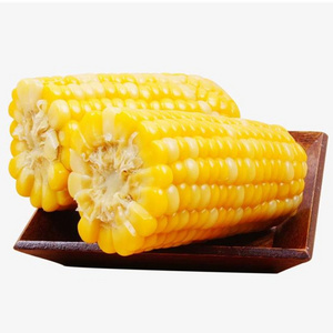 Bulk Frozen Corn Cob with best price IQF Sweet Corn Cob