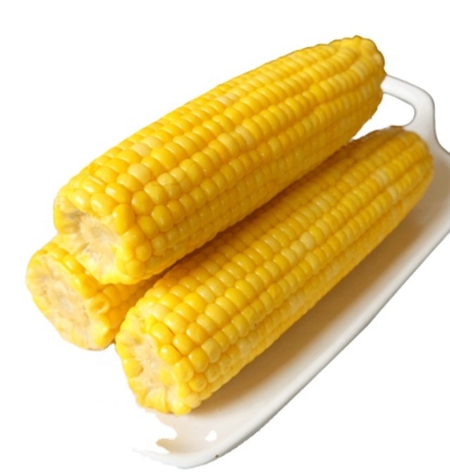 New Season IQF Frozen Grain Yellow Sweet Corn Cob Wholesale Frozen Sweet Corn