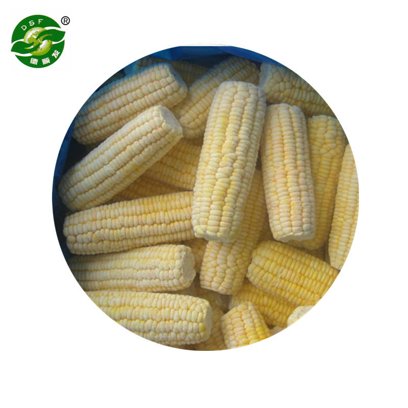 Hot Sale Approved IQF Frozen Sweet Corn Kernels Cob Whole with Good Price and  IQF Frozen corn