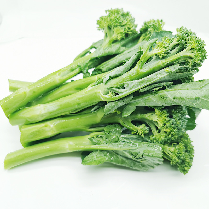 IQF Frozen Vegetable Frozen Broccoli Floret IQF Frozen Broccoli