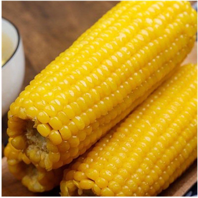 Bulk Frozen Corn Cob with best price IQF Sweet Corn Cob