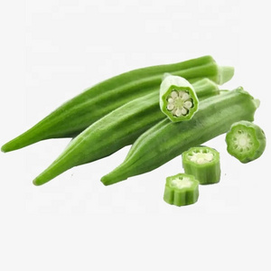 good quality hot sale frozen okra cut for Sale with Lowest Price