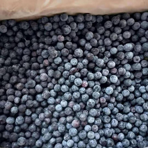 Good Quality Hot Sale BRC Certified Frozen Blueberry New Harvest