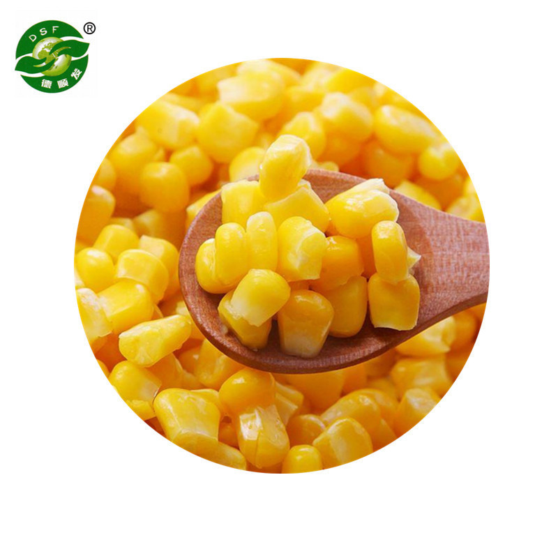 Hot Sale Approved IQF Frozen Sweet Corn Kernels Cob Whole with Good Price and  IQF Frozen corn