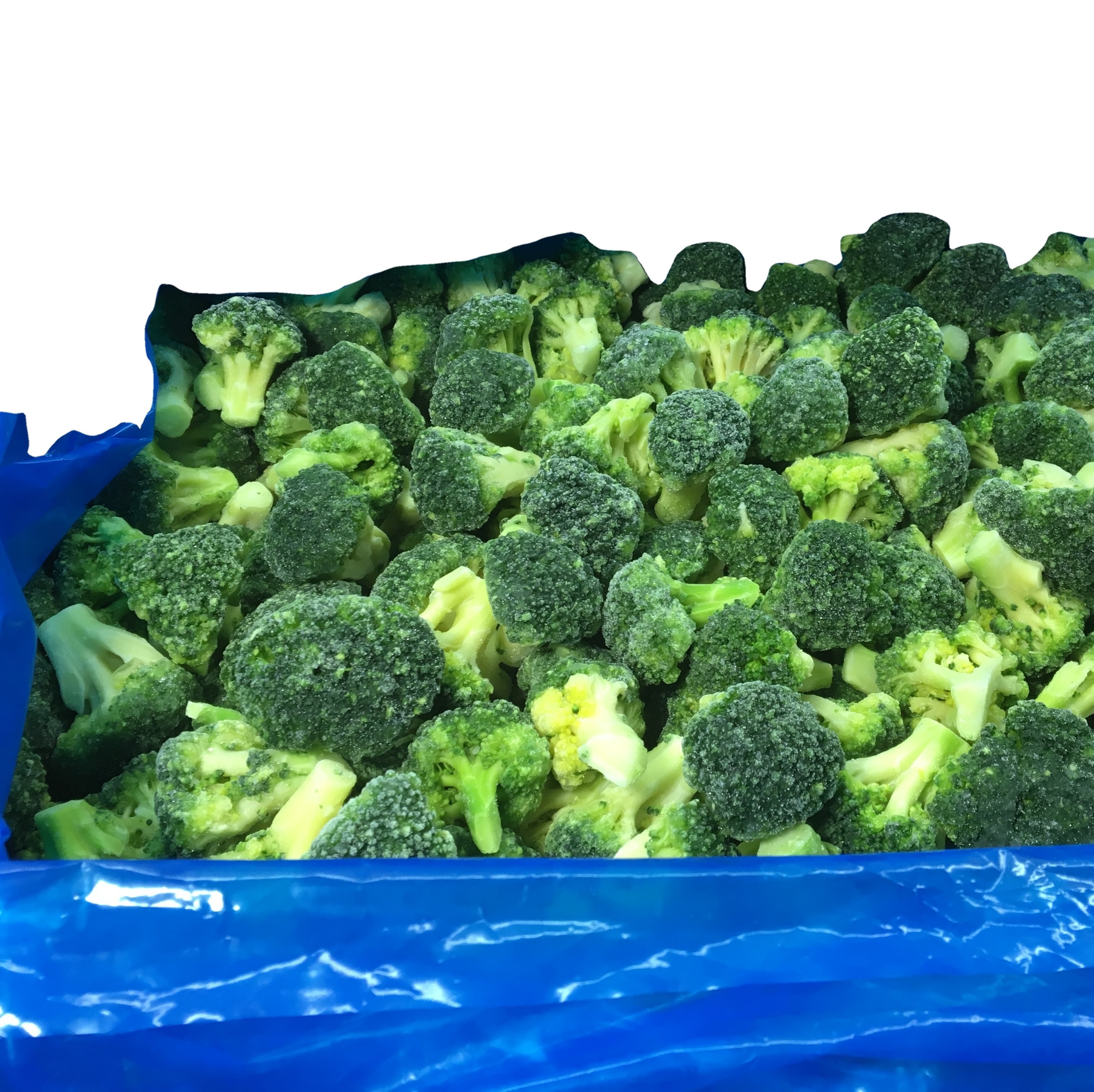 IQF Frozen Vegetable Frozen Broccoli Floret IQF Frozen Broccoli