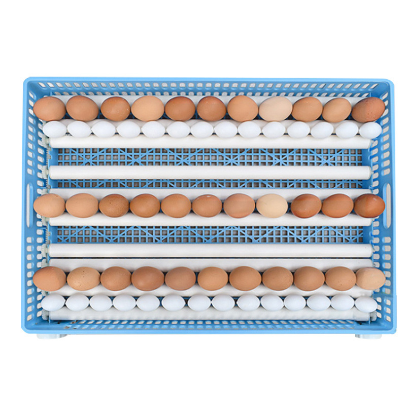 Large Capacity Incubators Industrial Hatching 300 Parrot Goose Egg 24 20000 2000 200 1056 Chicken