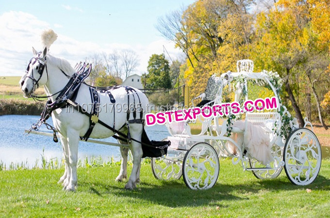 Wedding Cinderella Horse Buggy Carriage  White Cinderella Buggy For Sale  Indian Wedding Cinderella Horse Carriage