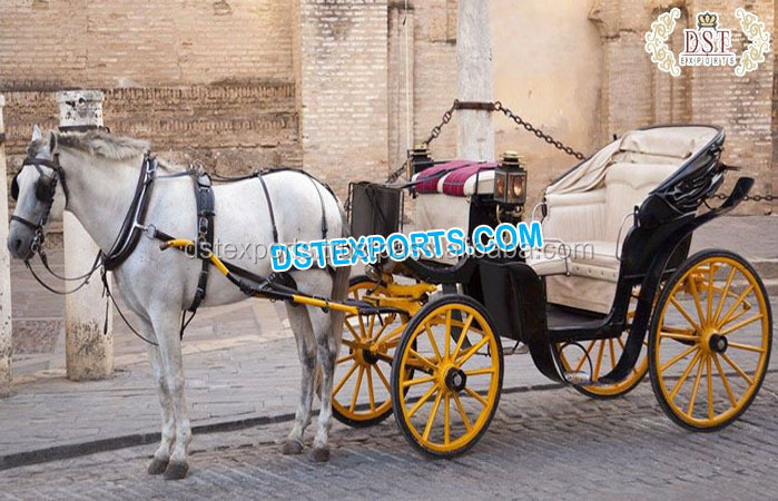 Romantic Wedding Ride Cinderella Carriage Princess Wedding White Gold Cinderella Carriage White Wedding Cinderella Coach