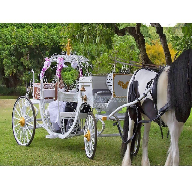 Romantic Wedding Ride Cinderella Carriage Princess Wedding White Gold Cinderella Carriage White Wedding Cinderella Coach