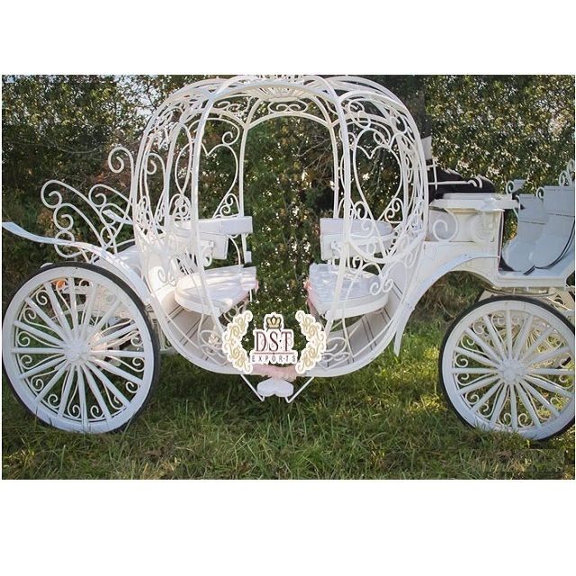 Heart Shaped Cinderella Horse Drawn carriage White Cinderella Horse Drawn Carriage Cinderella Pumpkin Horse Drawn