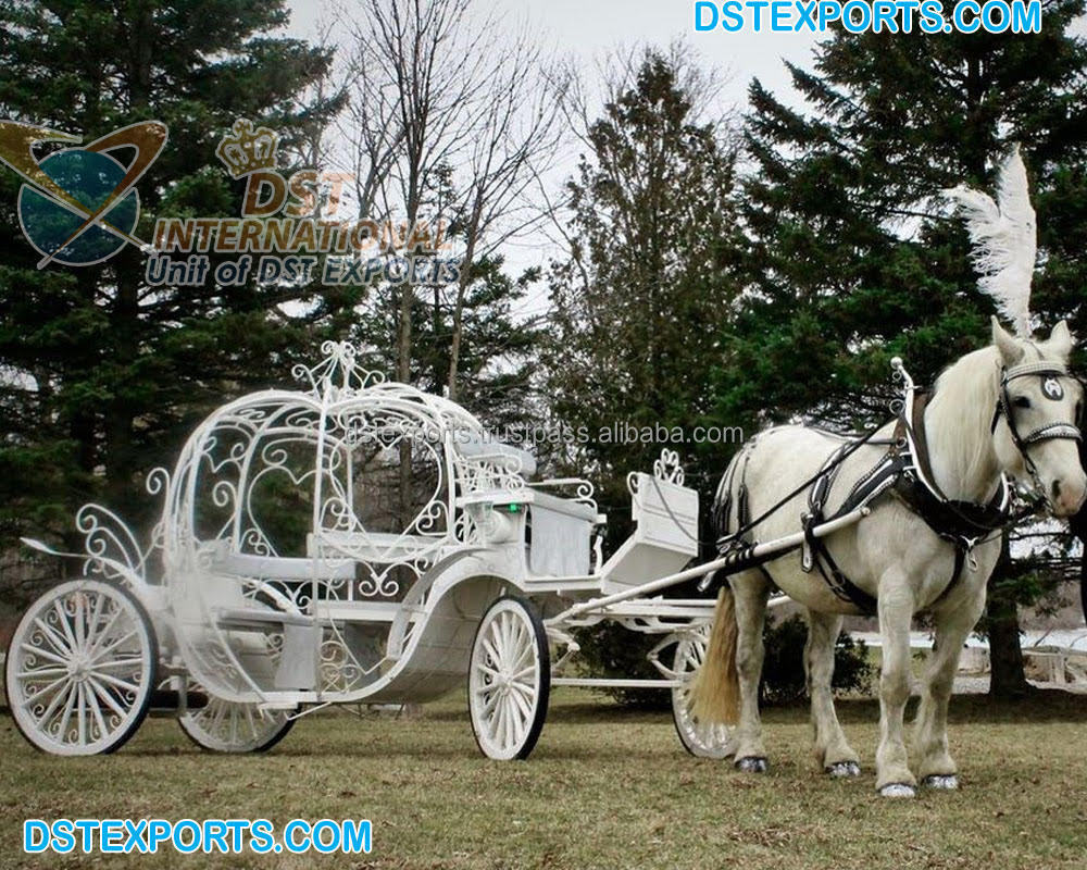 Heart Shaped Cinderella Horse Drawn carriage White Cinderella Horse Drawn Carriage Cinderella Pumpkin Horse Drawn