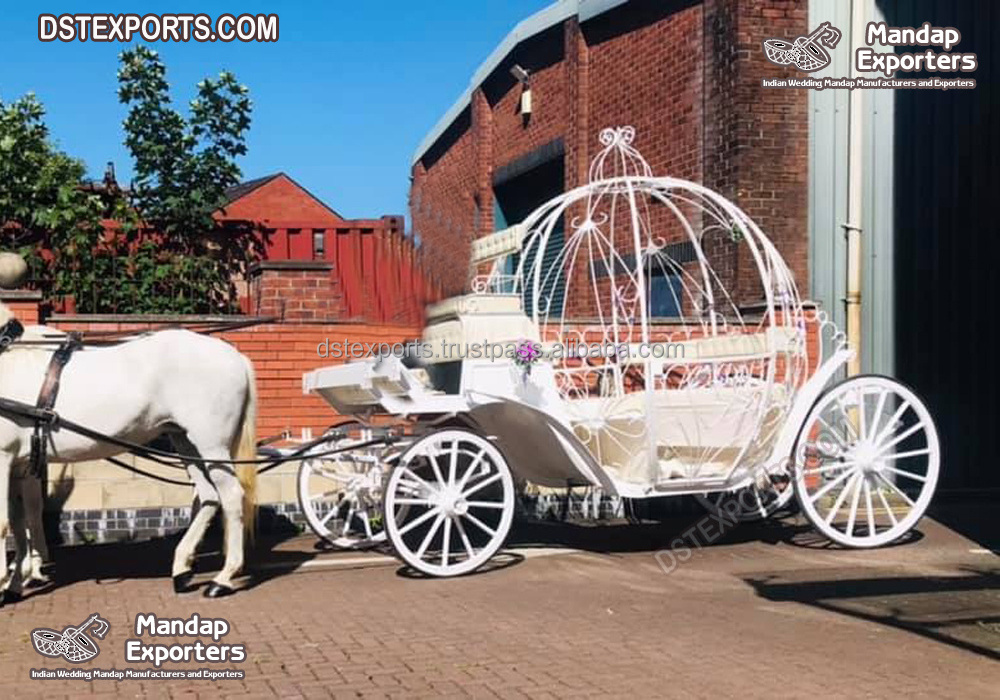 Heart Shaped Cinderella Horse Drawn carriage White Cinderella Horse Drawn Carriage Cinderella Pumpkin Horse Drawn