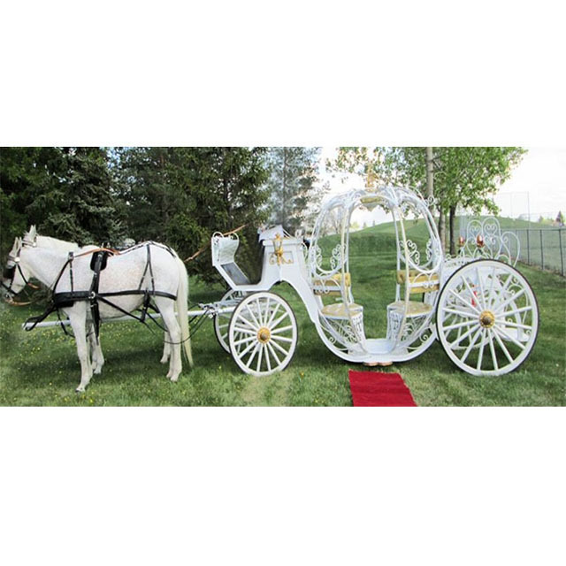 White Cinderella Princess Horse Drawn Carriage Stylish Bridal Entry on Cinderella Cart Luxury Wedding Cinderella Horse Buggy