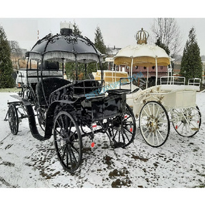 Gorgeous Horse Pumpkin Coach Carriages Luxurious Pumpkin Horse Drawn Carriage New Orleans Cinderella Carriage Horse Drawn