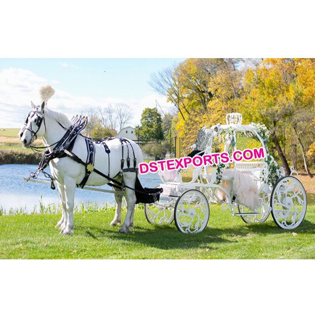 Bridal Cinderella Horse Carriage Bugghy Bride & Groom Entry On White Cinderella Carriage Wedding Cinderella Horse Buggy