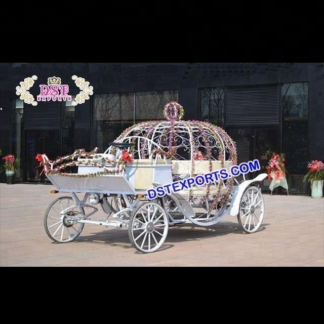 Chicago Wedding Cinderella Horse Carriage Indian Wedding Horse Buggy For Sale Royal Horse Carriages Manufacturer