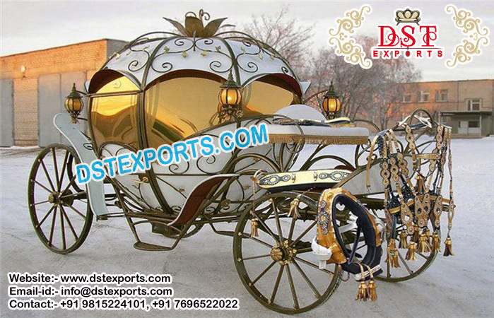 Chicago Wedding Cinderella Horse Carriage Indian Wedding Horse Buggy For Sale Royal Horse Carriages Manufacturer