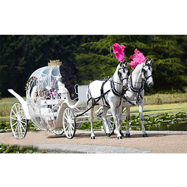 Newly Designed Pumpkin Cinderella Carriage Canadian Wedding Horse Drawn Cinderella Carriage Beautiful Bridal Entry Carriage