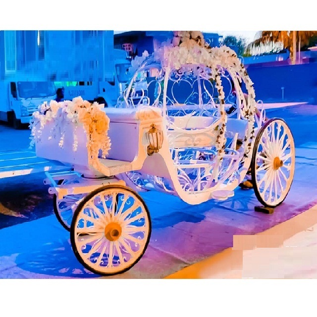 Princess Pumpkin Cinderella Carriage for Sale White Cinderella Coach for Wedding Wedding Cinderella Quinceanera Chariot