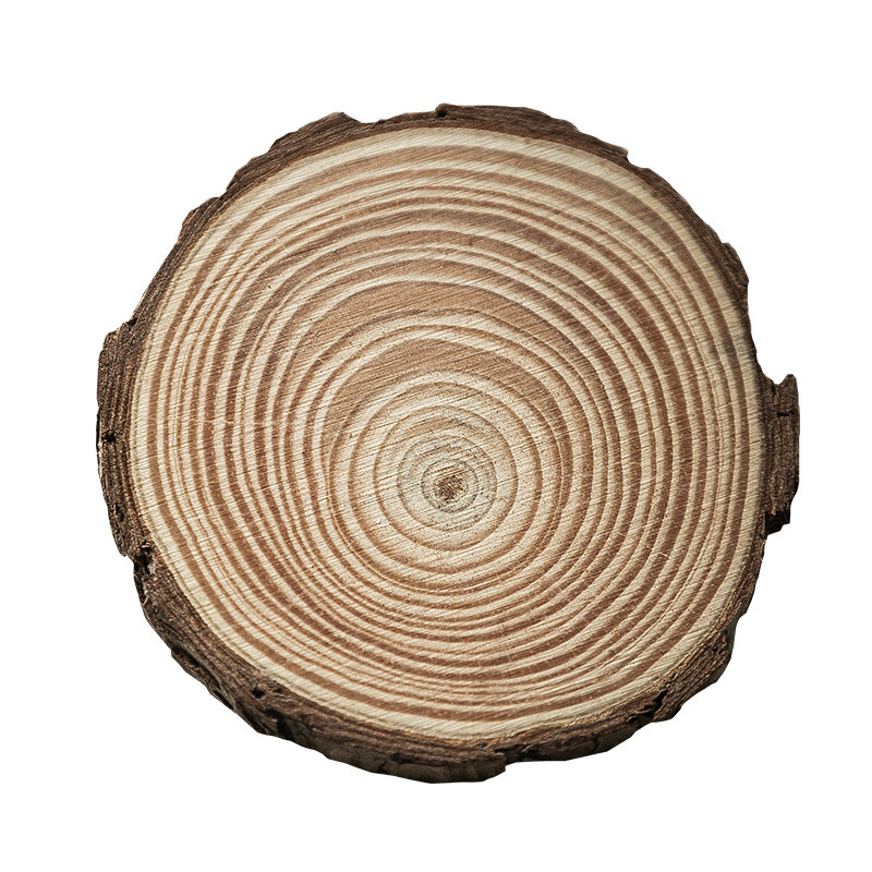 Wooden Circle Tree Slices Unfinished Weddings Decoration Pine Wood Round Craft Cards