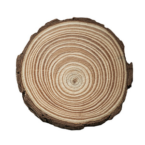 Wooden Circle Tree Slices Unfinished Weddings Decoration Pine Wood Round Craft Cards