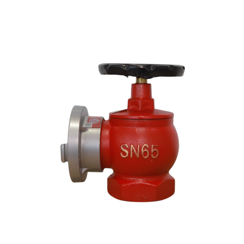 Factory price DN65 Fire fighting equipment indoor common hydrant