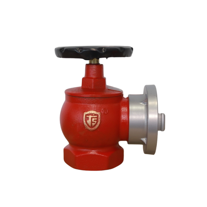 Factory price DN65 Fire fighting equipment indoor common hydrant