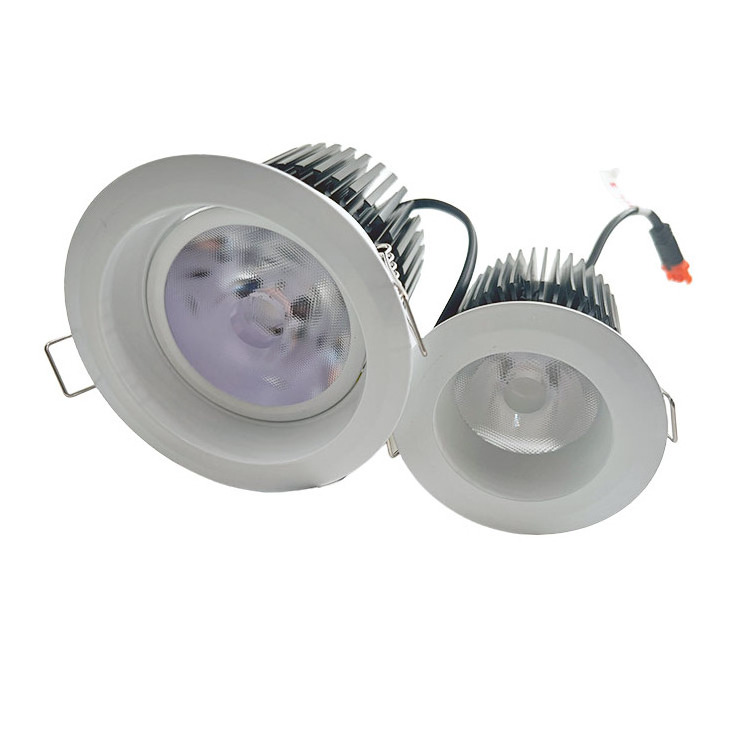 Cob Adjustable Lighting 20W Round Recessed  Wall Mounted Lamp Ceiling Led Downlights