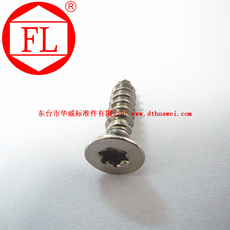 DIN846 7981 7982 7983 stainless steel cross recessed pan head,countersunk head,raised countersunk head tapping screw