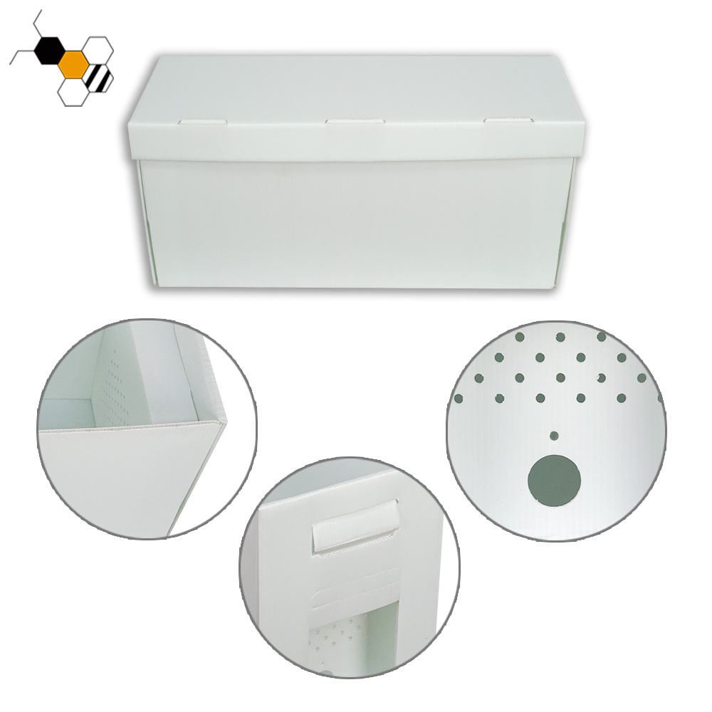 New Plastic Corflute Beehive Nuc Box for Beekeeping for Farms Home Use Retail